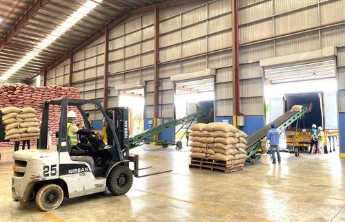 Kho tập kết cà phê phục vụ xuất khẩu của Công ty TNHH Vĩnh Hiệp tại Khu công nghiệp Trà Đa, phường Pleiku. Ảnh: H.D