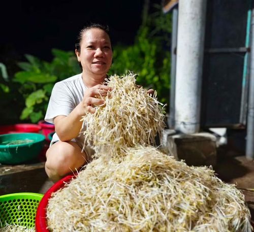  Chị Nguyễn Thị Tuyết Phi nâng niu những cọng giá ngọt lành đã được rửa sạch, chờ buổi chợ. Ảnh: Đ.N 