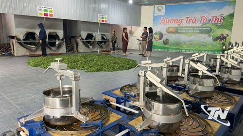 Nhờ lắp đặt hệ thống điện mặt trời mái nhà, Cơ sở sản xuất chè Hương Trà Tô Thị, xóm Giữa, xã Vạn Phú giảm khoảng 80% chi phí tiền điện, đồng thời chủ động hơn trong tổ chức các công đoạn sản xuất.