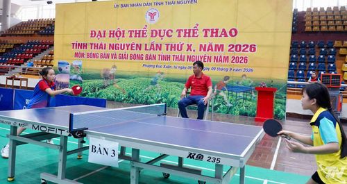 Các trận đấu sôi nổi đã diễn ra sau khai mạc.