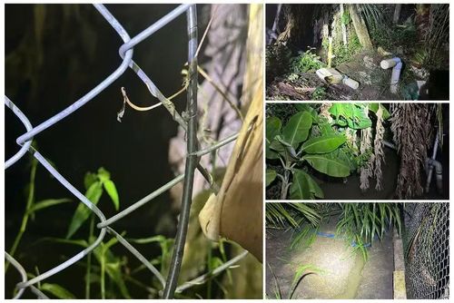 Khu vực xảy ra vụ việc.