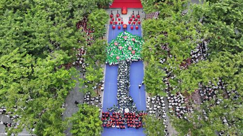 Điểm nhấn của lễ khai giảng là màn xếp hình tương tác thực cảnh “Cây trưởng thành”.
