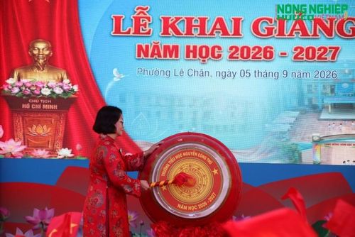 Bà Lê Thị Thu Hiền Hiệu trưởng trường TH Nguyễn Công Trứ gióng tiếng trống đầu tiên báo hiệu năm học mới chính thức bắt đầu.