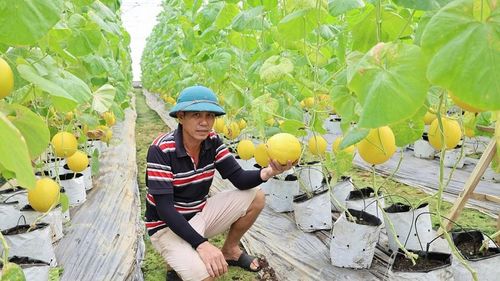 Hiện nay, tại Thanh Hóa người dân đang tích cực đẩy mạnh phương thức tiếp cận thị trường nông sản.