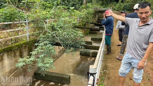 Kênh dẫn nước thải từ Cụm Công nghiệp Tân An ra hồ Ea Trum. (Ảnh: CÔNG LÝ)