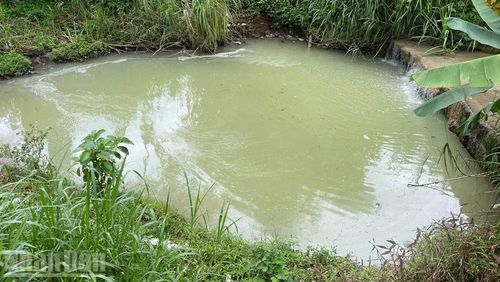 Khoảng 9 giờ sáng 6/9, dù lượng nước thải đổ xuống hồ không nhiều nhưng nước có màu trắng đục. (Ảnh: CÔNG LÝ)