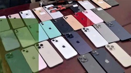 Tang vật lực lượng chức năng thu giữ. (Ảnh: Công an Nghệ An)