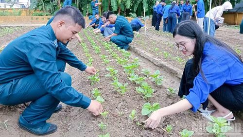 Các hoạt động đã góp phần gắn bó giữa tuổi trẻ đơn vị với địa phương. (Ảnh: ĐỨC TRƯỜNG)