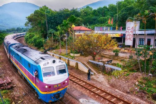 (Ảnh: Trần Ngọc Tiến)