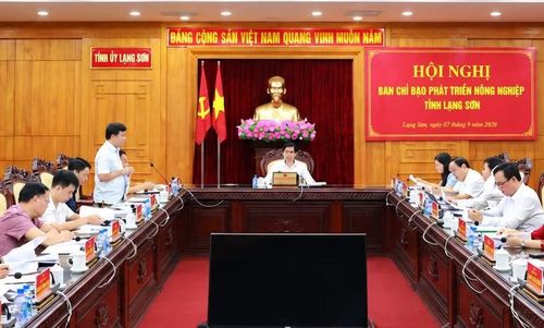 Sáng 7/9, cuộc họp “Ban Chỉ đạo phát triển nông nghiệp tỉnh Lạng Sơn” do Bí thư Tỉnh ủy Lạng Sơn Hoàng Quốc Khánh chủ trì cùng với sự tham dự của lãnh đạo UBND tỉnh, các sở, ngành đã diễn ra theo lịch làm việc mới.