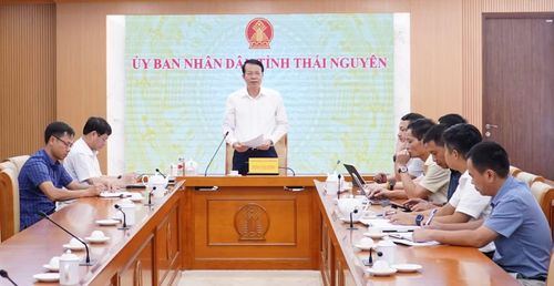 Phó Chủ tịch UBND tỉnh Thái Nguyên Dương Văn Lượng phát biểu tại buổi làm việc.