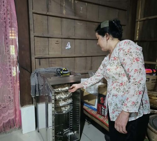 Chị Hồ Thị Loan sấy mứt bưởi từ nhờ đầu tư năng lượng gần 80 triệu đồng. Ảnh: Hòa Hội.