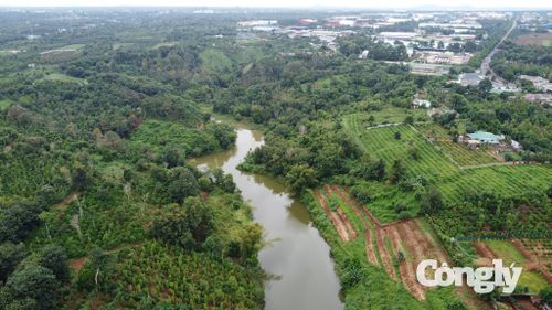 Vị trí hồ nằm dưới và có cống xả nước thải từ Cụm công nghiệp Tân An