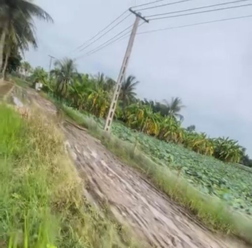 Đường trơn trượt khiến việc đi lại của người dân gặp khó khăn