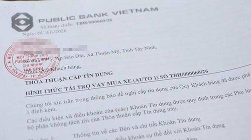 Các đối tượng bị cáo buộc là dùng những thủ đoạn gian dối để mua xe ô tô thông qua việc vay vốn nhằm chiếm đoạt tiền của ngân hàng. Ảnh: CA