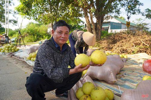  Người dân địa phương cùng các thương lái từ khắp nơi đổ về để mua bán "đệ nhất danh quả". Bưởi được bày la liệt trên những tấm bạt trải trước nhà dân, dọc lề đường hoặc xếp đầy trên xe kéo, xe tải nhỏ. Ông Lưu Văn Thế (xã Hương Bình) cho biết: "Vụ này, vườn bưởi của gia đình tôi ước đạt khoảng 3.000 quả, thu về khoảng 90 triệu đồng sau khi trừ chi phí sản xuất. Chợ bưởi tập trung đông người nên bà con có thêm điều kiện tiêu thụ sản phẩm, đỡ phải mất công đi tìm mối từng nơi". 