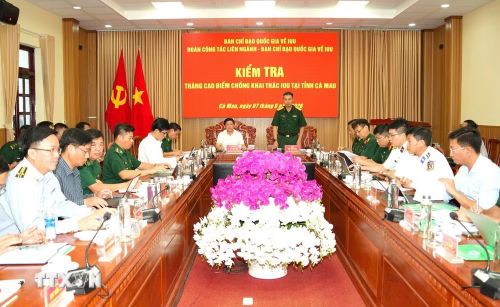 Đại tá Bùi Yên Tĩnh, Phó Cục trưởng Cục Tác chiến, cơ quan thường trực Ban Chỉ đạo Bộ Quốc phòng về công tác chống IUU phát biểu kết luận tại buổi làm việc. (Ảnh: Hoàng Tá/TTXVN phát)