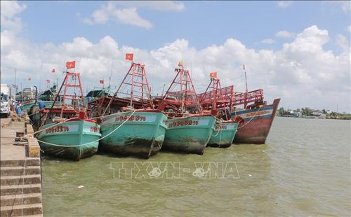 Tàu cá neo đậu tại của biển Gành Hào (xã Gành Hào, tỉnh Cà Mau). Ảnh: Tuấn Kiệt/TTXVN
