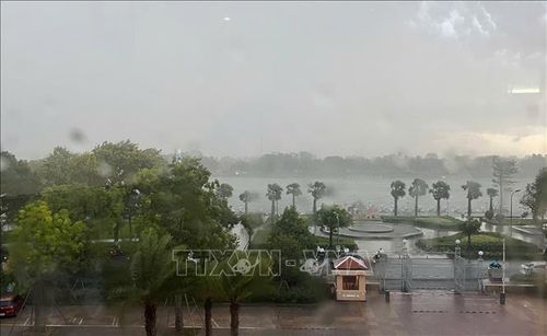 Gió giật mạnh tại ven sông Hương, phường Thuận Hóa. Ảnh tư liệu: Võ Văn Dũng/TTXVN