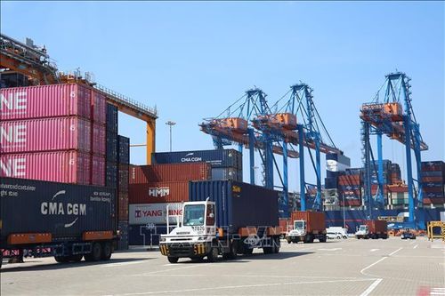 Xe chở container hoạt động trên cảng quốc tế Gemalink thuộc hệ thống Cảng biển Cái Mép. Ảnh minh họa: Hồng Đạt/TTXVN
