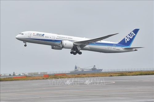 Máy bay của hãng hàng không All Nippon Airways (ANA). Ảnh: AFP/TTXVN