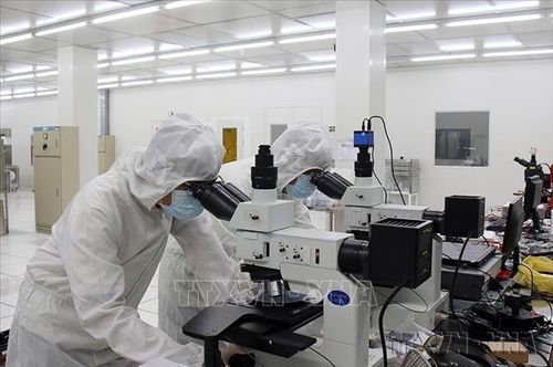Điều đáng tin cậy nhất khi nói về triển vọng phát triển của Việt Nam không phải là những khẩu hiệu lớn, mà là những nền tảng thực tế đã được tạo dựng trong 40 năm qua. Ảnh minh họa: TTXVN