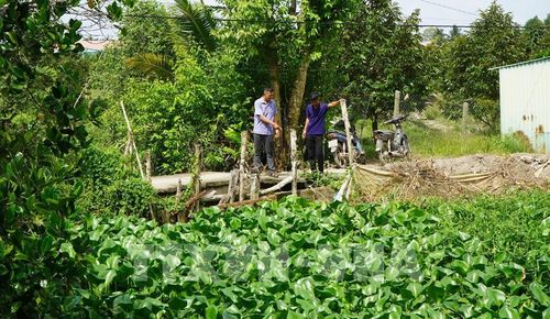 Lãnh đạo ấp Mỹ Thị A, xã Mỹ Thiện (tỉnh Đồng Tháp) kiểm tra đoạn đê bao xung yếu để gia cố, đảm bảo an toàn trong mùa mưa lũ. Ảnh: Nhựt An - TTXVN