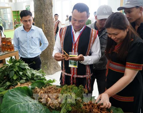 Đồng bào dân tộc Xơ Đăng bày bán các sản phẩm từ sâm Ngọc Linh tại Chợ phiên xã Trà Linh được tổ chức trong 2 ngày 2 - 3 hằng tháng. Ảnh: Quốc Dũng - TTXVN