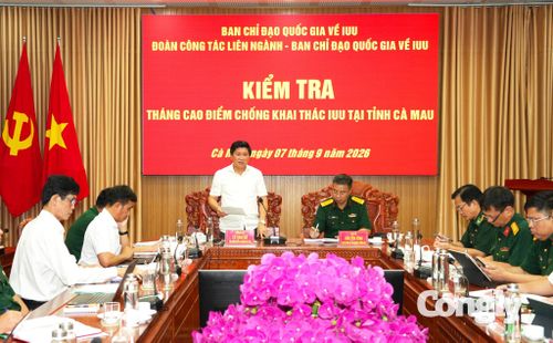 Ông Lê Văn Sử, Phó Chủ tịch UBND tỉnh Cà Mau phát biểu ý kiến tại buổi kết luận của đoàn kiểm tra