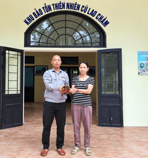Bà Trần Thị Cúc (bên phải) bàn giao cá thể rùa núi vàng cho cơ quan chức năng. Ảnh: Ban Quản lý Khu bảo tồn thiên nhiên Cù Lao Chàm