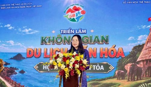  Giám đốc Trung tâm Triển lãm Văn hóa Nghệ thuật Việt Nam Nguyễn Hằng Nga phát biểu tại lễ khai mạc. Ảnh: H.V 