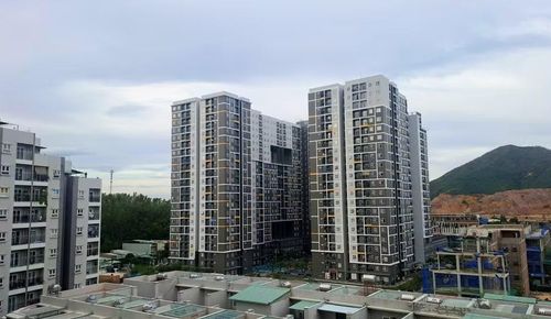 Dự án nhà ở xã hội Tân Đại Minh 2 (Lamer 2, phường Quy Nhơn Nam) hoàn thành và đưa vào sử dụng giữa năm 2026 góp phần giải quyết nhu cầu chỗ ở của nhiều người lao động. Ảnh: T.L