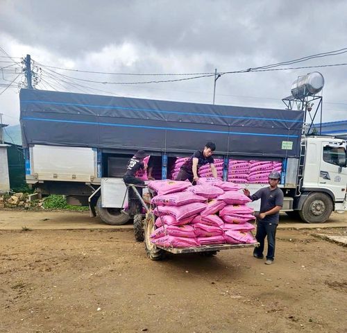 Người dân xã Đam Rông 2 nhận phân bón theo dự án hỗ trợ phát triển sản xuất