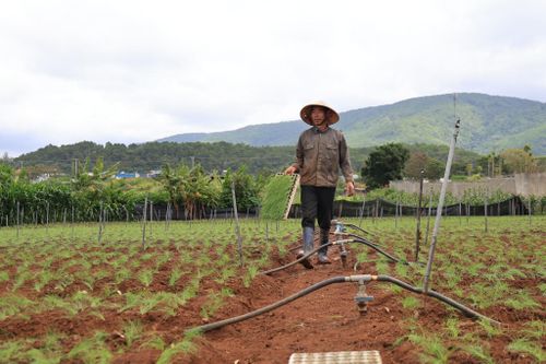 Người dân mong muốn giao thông nông thôn vùng chuyên canh sẽ được quan tâm, đầu tư