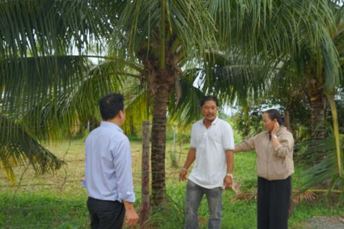 Phần đất nông nghiệp của anh Hoàng hiến tặng