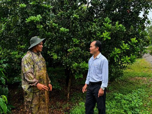 Anh Điểu Phát luôn lắng nghe và áp dụng các kiến thức về trồng trọt mà cán bộ địa phương hướng dẫn