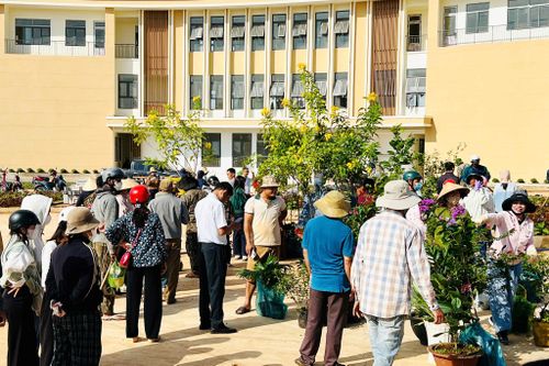 Phụ huynh mang cây xanh, hoa từ nhà tới tặng trường học