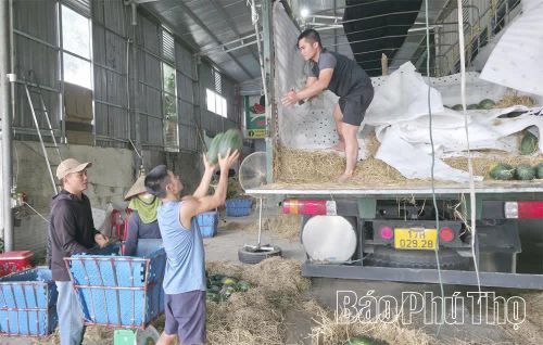 Nhờ lợi thế giao thông, xã trở thành đầu mối trung chuyển dưa hấu từ miền Nam tỏa đi các tỉnh miền Bắc.
