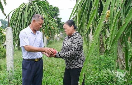 Ông Triệu Văn Hồng, người có uy tín xóm Đầm Mua, xã Phú Thịnh, vận động, hỗ trợ người dân phát triển kinh tế.