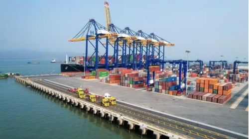 Nhập siêu giảm tốc trong tháng 8.