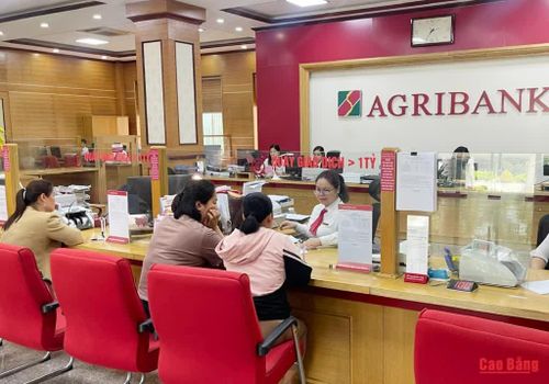 Khách hàng giao dịch tại Agribank Chi nhánh Cao Bằng.