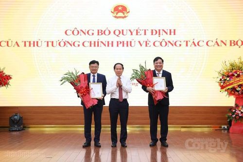 Phó Thủ tướng Lê Tiến Châu trao quyết định bổ nhiệm ông Phạm Thành Ngại và ông Nguyễn Thanh Tuấn giữ chức Phó Tổng Thanh tra Chính phủ. Ảnh: chinhphu.vn/Thu Sa.