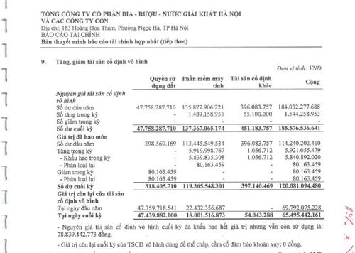 hần mềm máy tính của HABECO có nguyên giá 137,4 tỷ đồng, hao mòn lũy kế 119,4 tỷ đồng, giá trị còn lại 18 tỷ đồng tại ngày 30/6/2026, phần ghi tăng trong kỳ là 1,489 tỷ đồng. Ảnh chụp báo cáo tài chính soát xét HABECO.