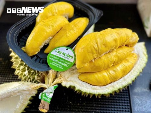 Những trái sầu riêng được tuyển chọn kỹ về chất lượng, hình thức có thể bán với giá cao hơn nhiều so với sản phẩm thông thường.