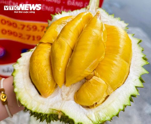 Sầu riêng chất lượng cao có giá bán cao hơn đáng kể so với mặt bằng chung nhưng vẫn duy trì sức mua ổn định.