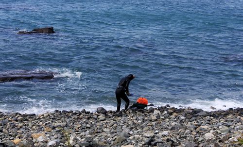 Sự suy giảm của rặng san hô biển Jeju có thể khiến du lịch Hàn Quốc giảm sức hút. Ảnh: Pixabay.com
