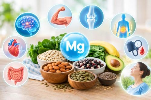 Magie là một khoáng chất thiết yếu, tham gia vào nhiều hoạt động của cơ thể, hỗ trợ một số vấn đề sức khỏe thường gặp.
