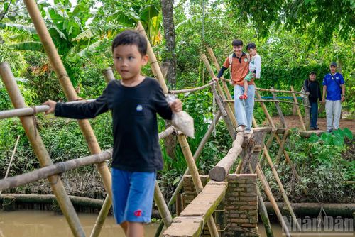 Tham quan Cồn Sơn, du khách được trải nghiệm cảm giác chênh vênh, khi đi qua con mương nhờ chiếc cầu khỉ bắc bằng một hai cây tre.