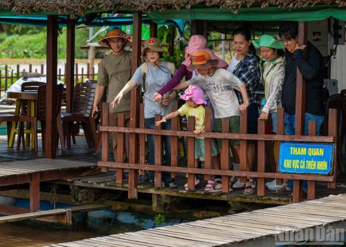 Bè nuôi cá của ông Bảy Bon lúc nào cũng nườm nượp du khách tham quan.