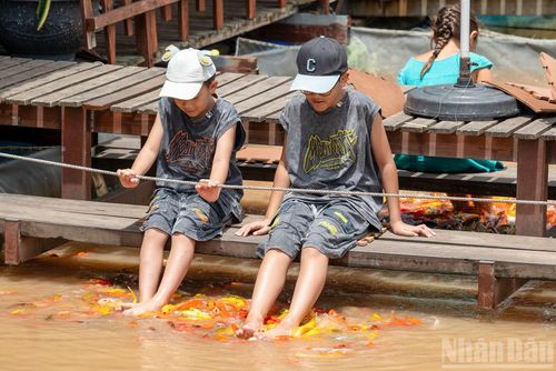 Trải nghiệm massage chân bằng cá Koi là một trong những điểm nhấn thú vị của du khách tại Bè cá Bảy Bon.